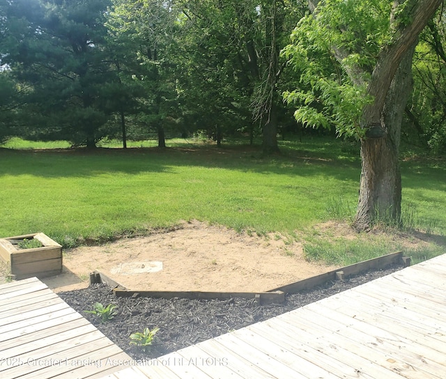 view of grassy yard