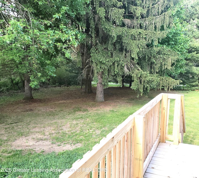 view of green lawn