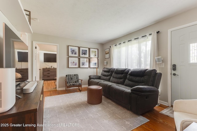316 Union St, Grand Ledge, MI 48837 - living room featuring wood finished floors and baseboards