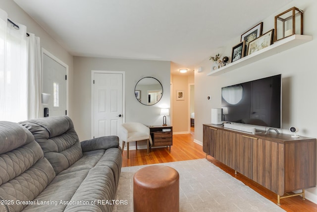 316 Union St, Grand Ledge, MI 48837 - living room featuring light wood-style floors and baseboards