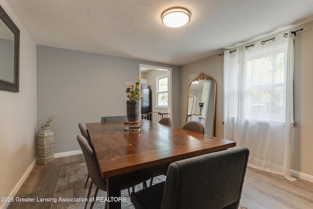 316 Union St, Grand Ledge, MI 48837 - dining space with light wood finished floors, baseboards, and a textured ceiling