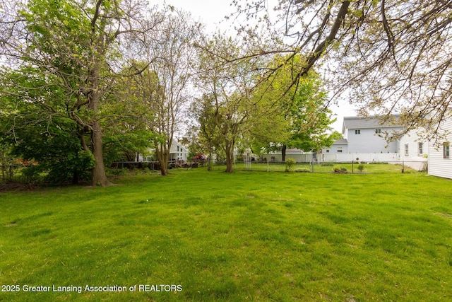 316 Union St, Grand Ledge, MI 48837 - view of yard