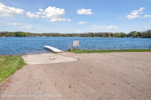 9195 Westchester Dr, Laingsburg, MI 48848 - photo 8