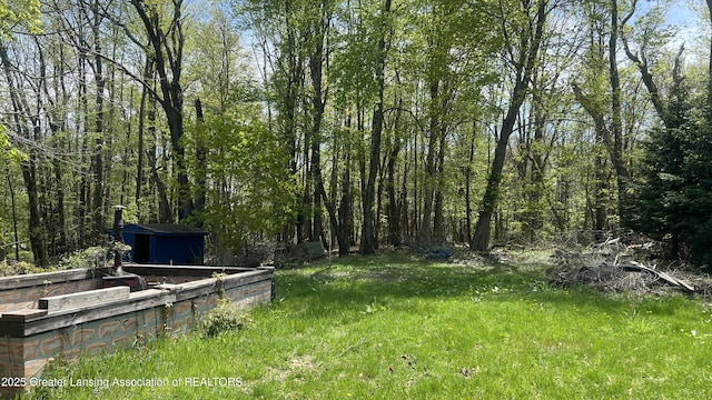 413 Meeker St, Leslie, MI 49251 - view of yard with a view of trees and an outbuilding