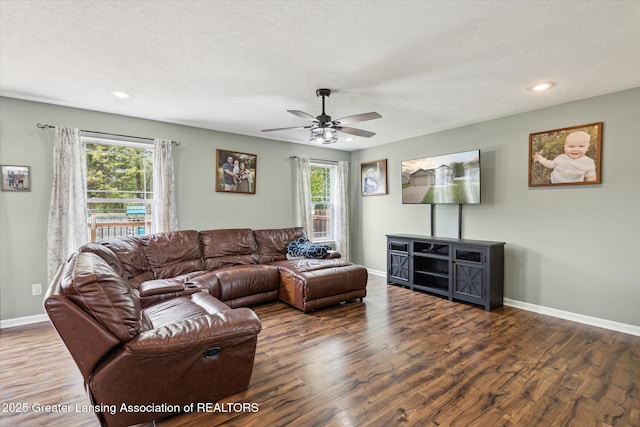 703 Josie Ln, Laingsburg, MI 48848 - living area featuring healthy amount of natural light, wood finished floors, ceiling fan, baseboards, and recessed lighting