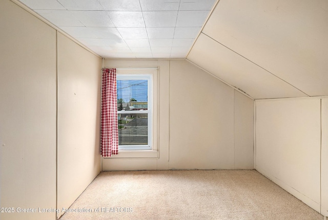 additional living space with carpet and vaulted ceiling