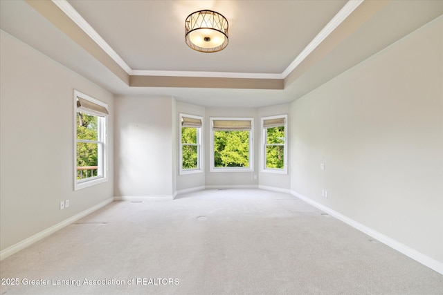 carpeted spare room with a raised ceiling, baseboards, and crown molding