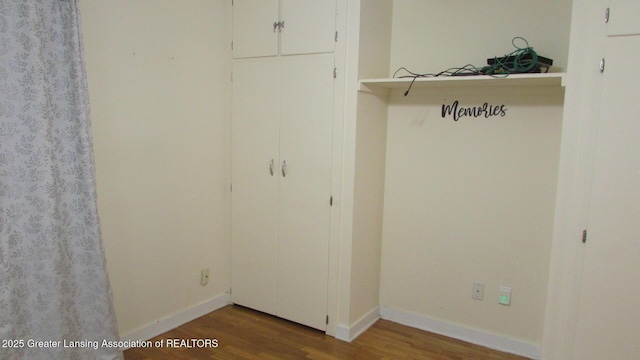 745 Roosevelt St, Mason, MI 48854 - view of closet