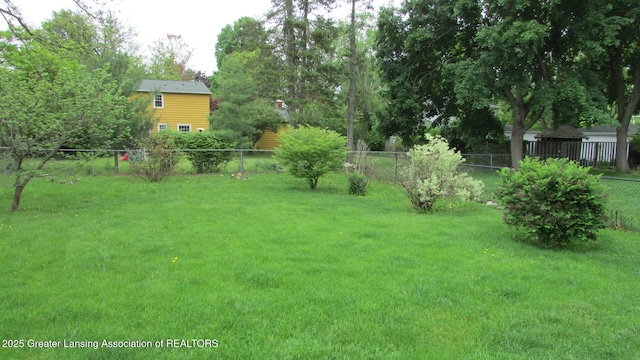 745 Roosevelt St, Mason, MI 48854 - view of yard