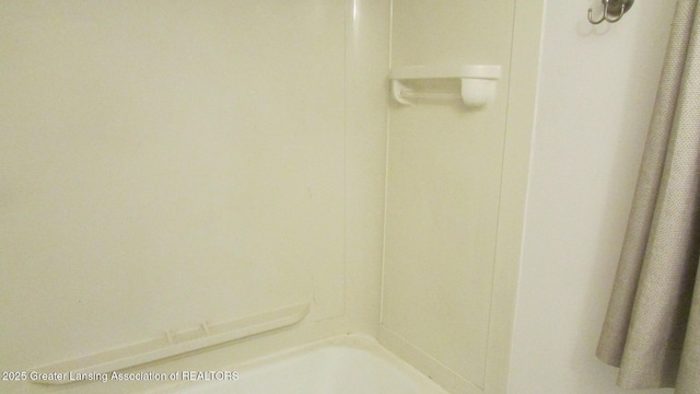 745 Roosevelt St, Mason, MI 48854 - bathroom view of a shower