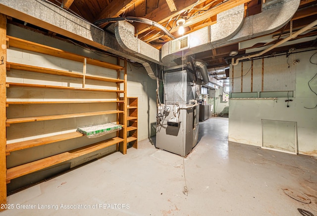 2018 Cooper Ave, Lansing, MI 48910 - unfinished below grade area with heating unit