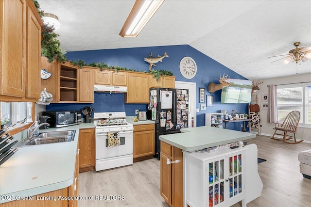 5669 Elm Rd, Olivet, MI 49076 - kitchen with white gas range oven, under cabinet range hood, vaulted ceiling, stainless steel microwave, and a sink