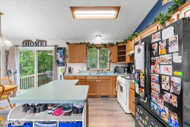 5669 Elm Rd, Olivet, MI 49076 - kitchen with freestanding refrigerator, a sink, a textured ceiling, light countertops, and plenty of natural light