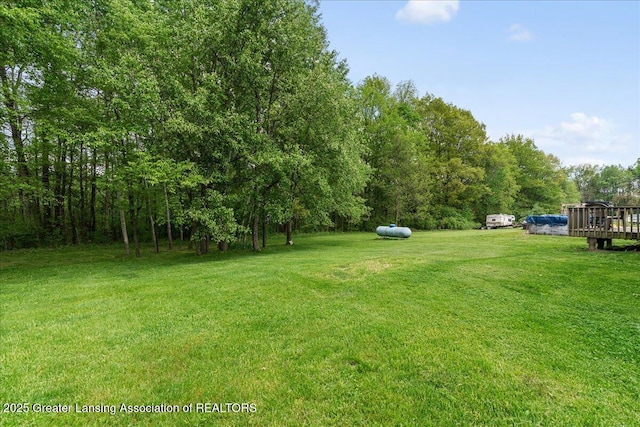 5669 Elm Rd, Olivet, MI 49076 - view of grassy yard