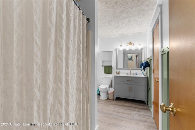 5669 Elm Rd, Olivet, MI 49076 - full bath featuring a textured ceiling, wood finished floors, vanity, and toilet