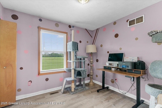 5669 Elm Rd, Olivet, MI 49076 - office with wood finished floors, a textured ceiling, and baseboards