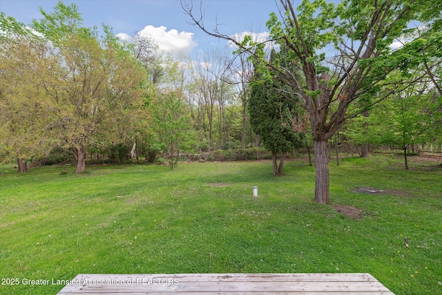 2468 Lansing Rd, Charlotte, MI 48813 - view of grassy yard