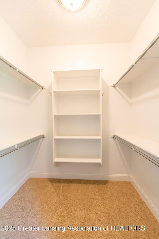 4655 Dimond Way, Dimondale, MI 48821 - walk in closet with carpet flooring