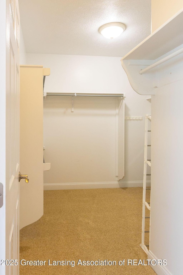 4655 Dimond Way, Dimondale, MI 48821 - spacious closet featuring carpet floors