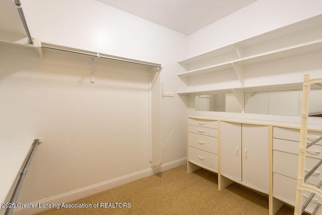 4655 Dimond Way, Dimondale, MI 48821 - walk in closet with light colored carpet