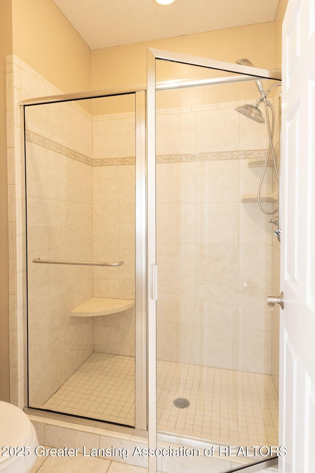 4655 Dimond Way, Dimondale, MI 48821 - full bathroom with toilet and a stall shower