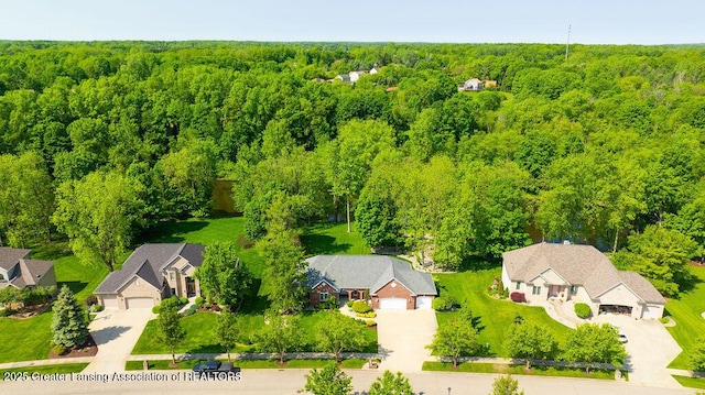 4655 Dimond Way, Dimondale, MI 48821 - bird's eye view of a forest