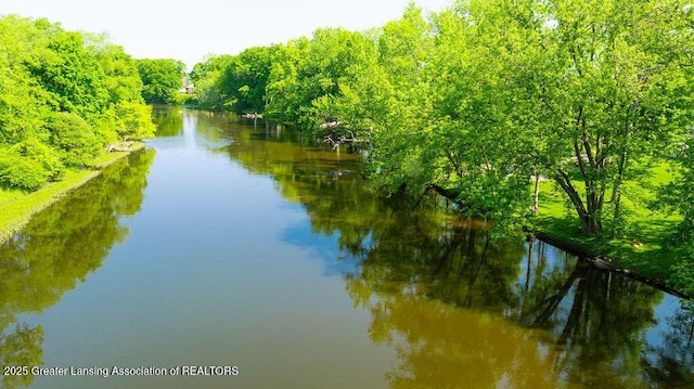 4655 Dimond Way, Dimondale, MI 48821 - water view with a forest