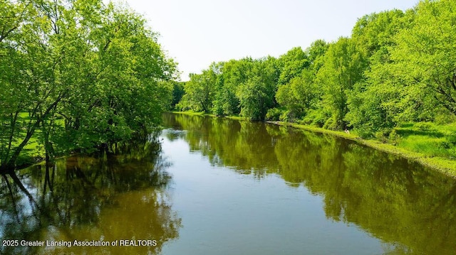 4655 Dimond Way, Dimondale, MI 48821 - water view with a heavily wooded area