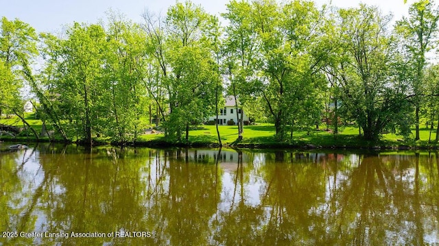 4655 Dimond Way, Dimondale, MI 48821 - water view