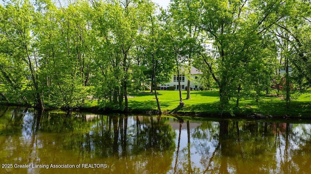 4655 Dimond Way, Dimondale, MI 48821 - water view
