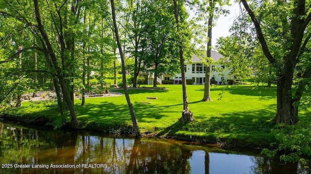 4655 Dimond Way, Dimondale, MI 48821 - view of home's community with a yard and a water view