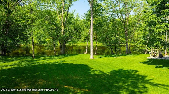 4655 Dimond Way, Dimondale, MI 48821 - view of grassy yard featuring a water view