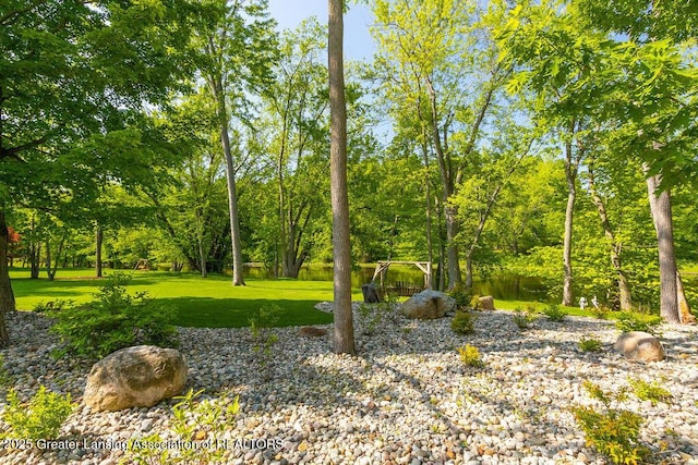 4655 Dimond Way, Dimondale, MI 48821 - view of grassy yard
