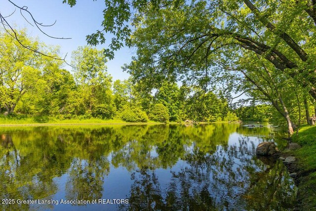 4655 Dimond Way, Dimondale, MI 48821 - water view