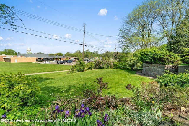 224 S Grace St, Lansing, MI 48917 - view of grassy yard