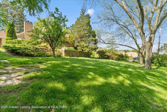 224 S Grace St, Lansing, MI 48917 - view of grassy yard