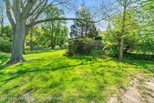 224 S Grace St, Lansing, MI 48917 - view of yard