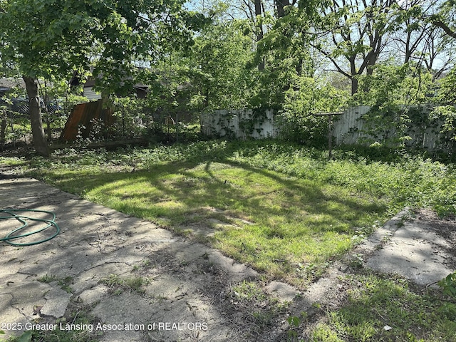312 Jones St, Lansing, MI 48912 - view of yard