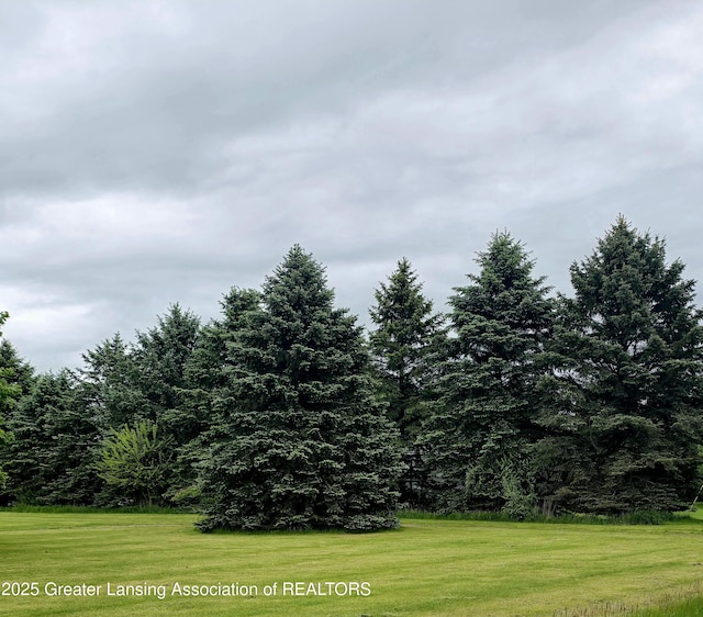 1279 Leland Rd, Ovid, MI 48866 - view of grassy yard with a view of trees