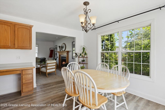 3795 Kirkland Ridge Dr, Holt, MI 48842 - dining room featuring wood finished floors, a warm lit fireplace, a chandelier, baseboards, and a desk