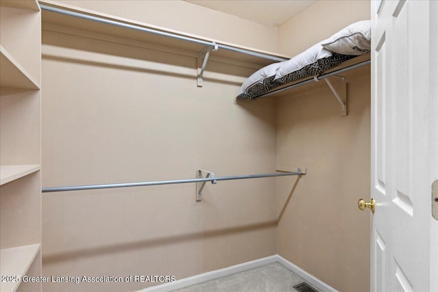 5859 Printemp Dr, East Lansing, MI 48823 - spacious closet with carpet