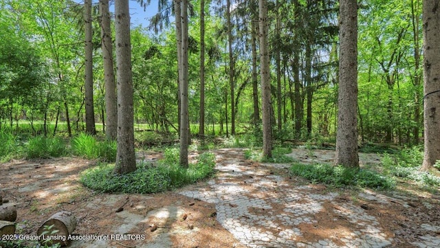 5859 Printemp Dr, East Lansing, MI 48823 - view of nature