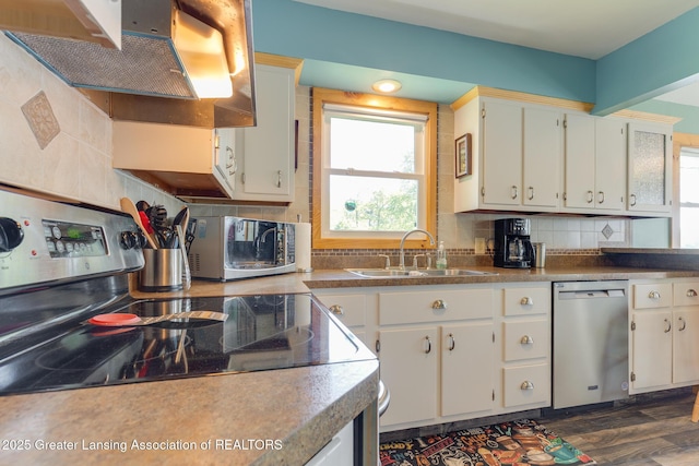 6391 Lakeshore Dr, Lakeview, MI 48850 - kitchen with a sink, stainless steel appliances, under cabinet range hood, and plenty of natural light