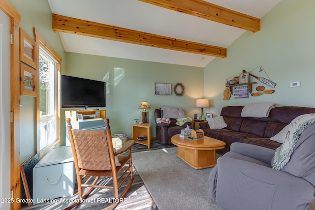 6391 Lakeshore Dr, Lakeview, MI 48850 - living area with wood finished floors