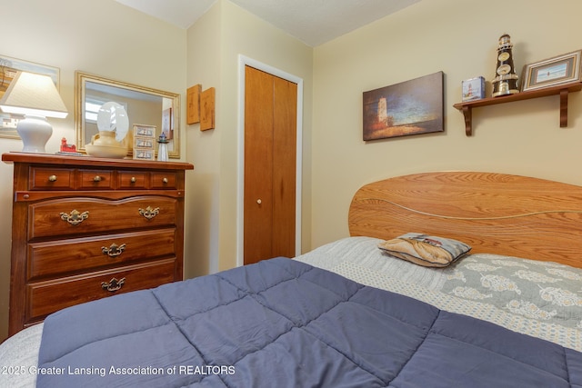 6391 Lakeshore Dr, Lakeview, MI 48850 - bedroom with a closet