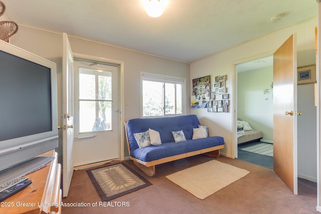 6391 Lakeshore Dr, Lakeview, MI 48850 - living area with carpet flooring