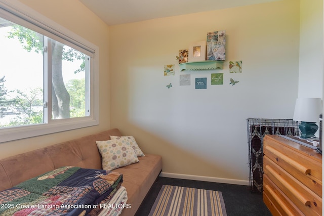 6391 Lakeshore Dr, Lakeview, MI 48850 - sitting room with baseboards