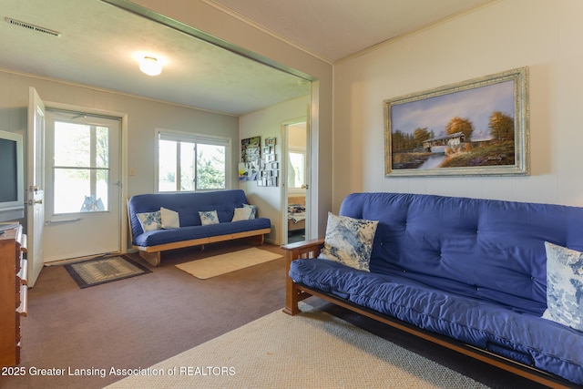 6391 Lakeshore Dr, Lakeview, MI 48850 - carpeted living area with ornamental molding