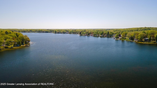 6391 Lakeshore Dr, Lakeview, MI 48850 - water view