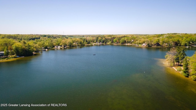 6391 Lakeshore Dr, Lakeview, MI 48850 - water view featuring a forest